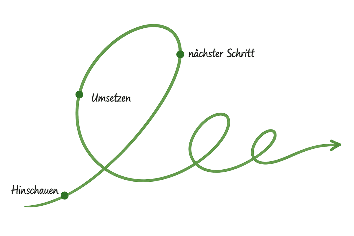 Schleifengrafik: Hinschauen, Umsetzen, nächster Schritt — ein sich
                 wiederholender Prozess